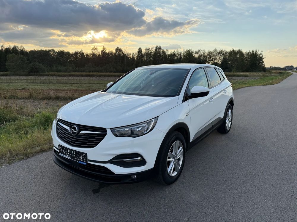 Opel Grandland X - 1
