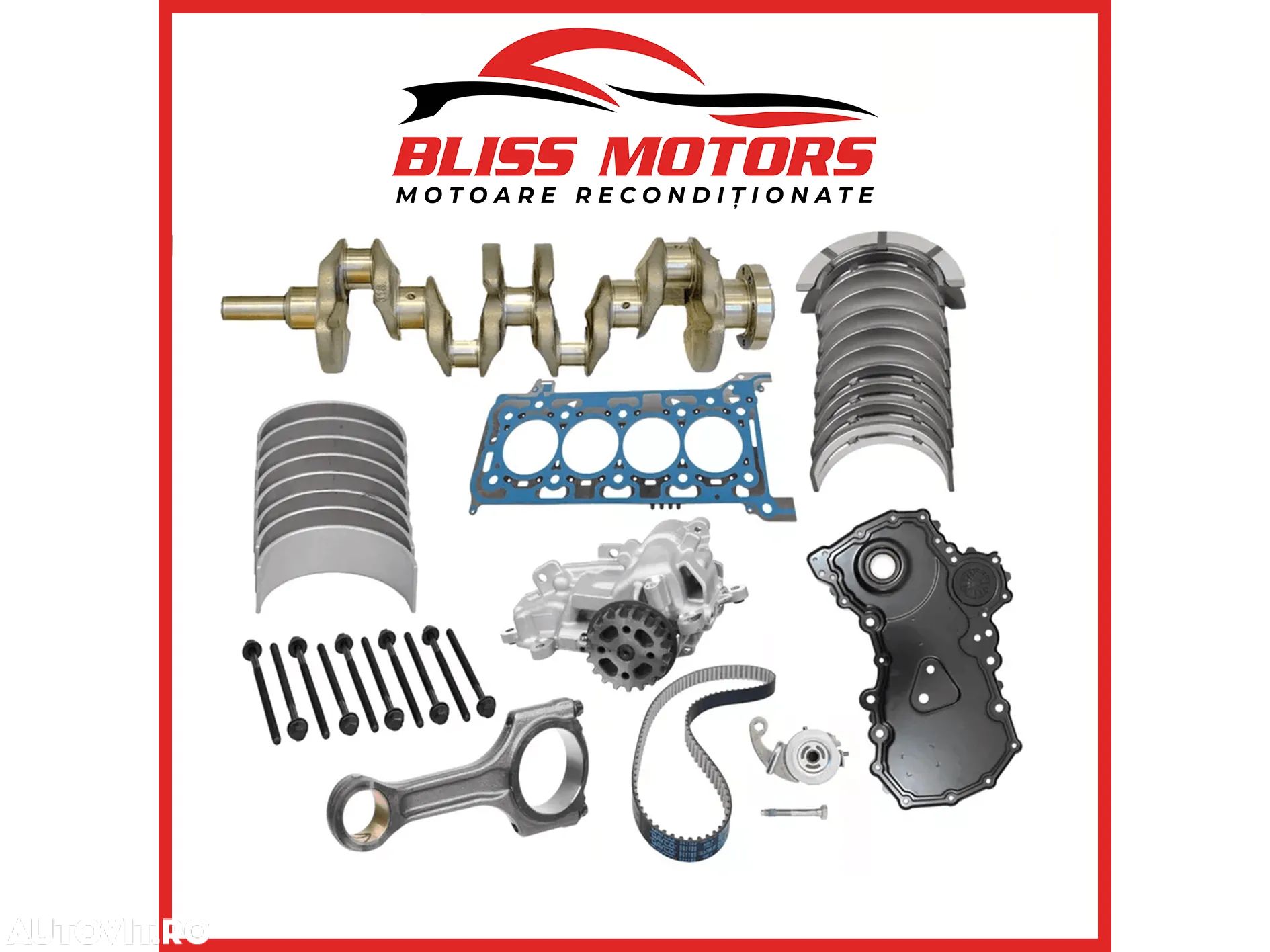 Kit reparatie motor Ford 2.0 Ecoblue Vibrochen+set cuzineti - 1