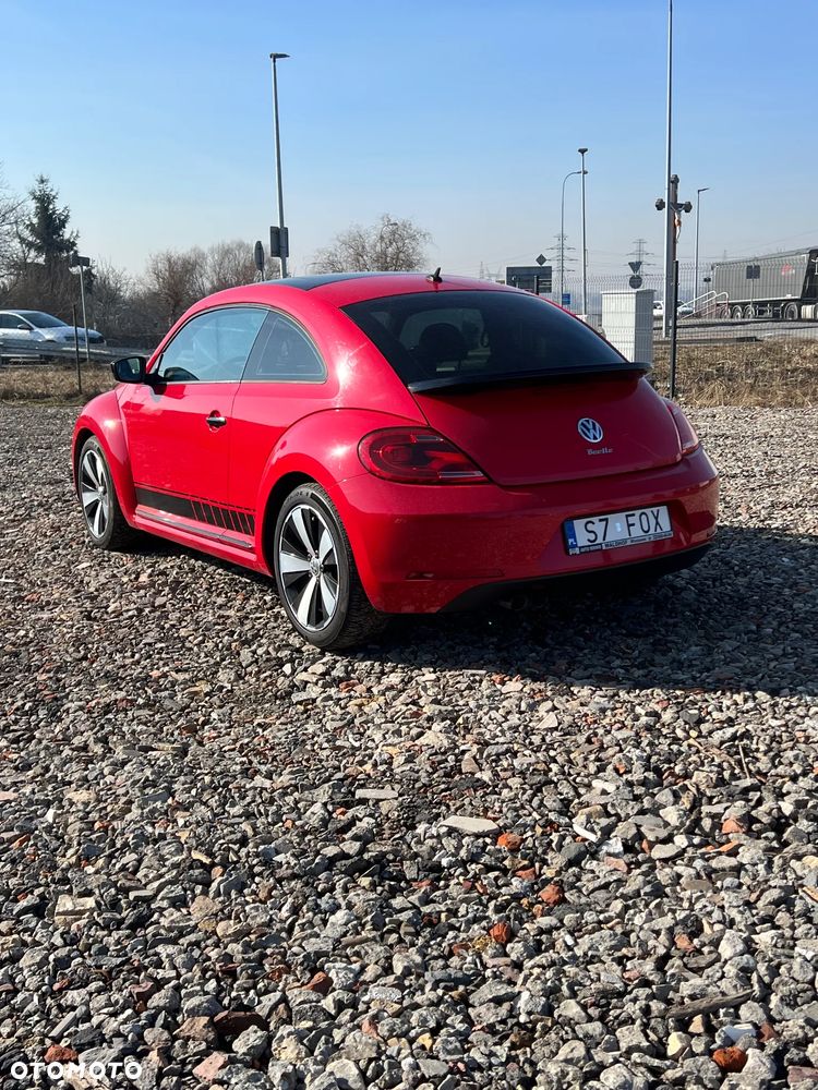 Volkswagen Beetle - 5