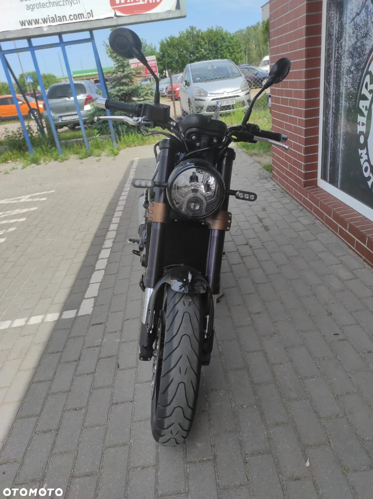 Benelli Leoncino - 8