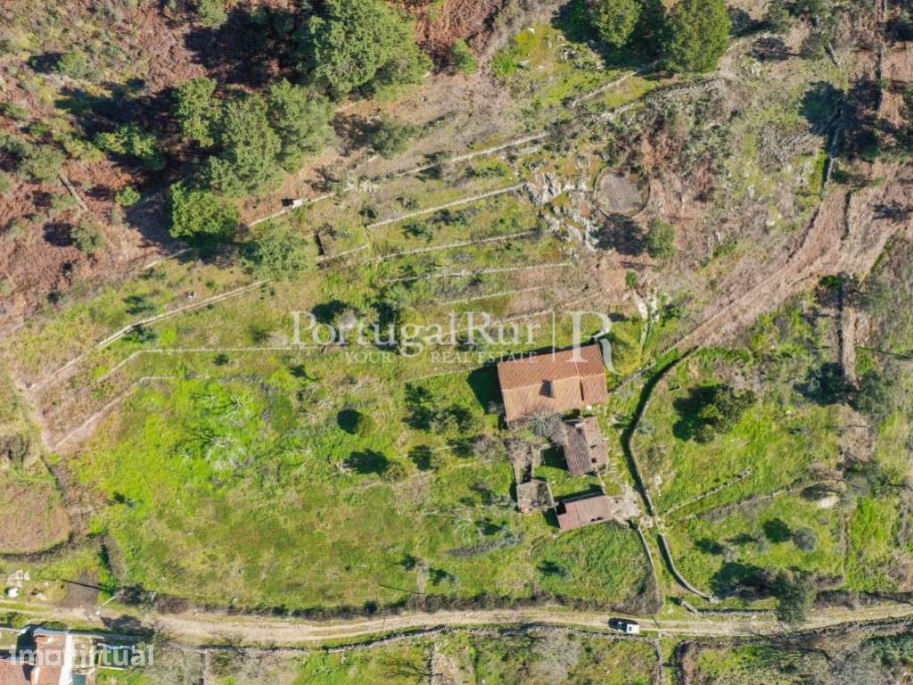 Quinta com casa e várias dependências em Castelo de Vide - Grande imagem: 2/37