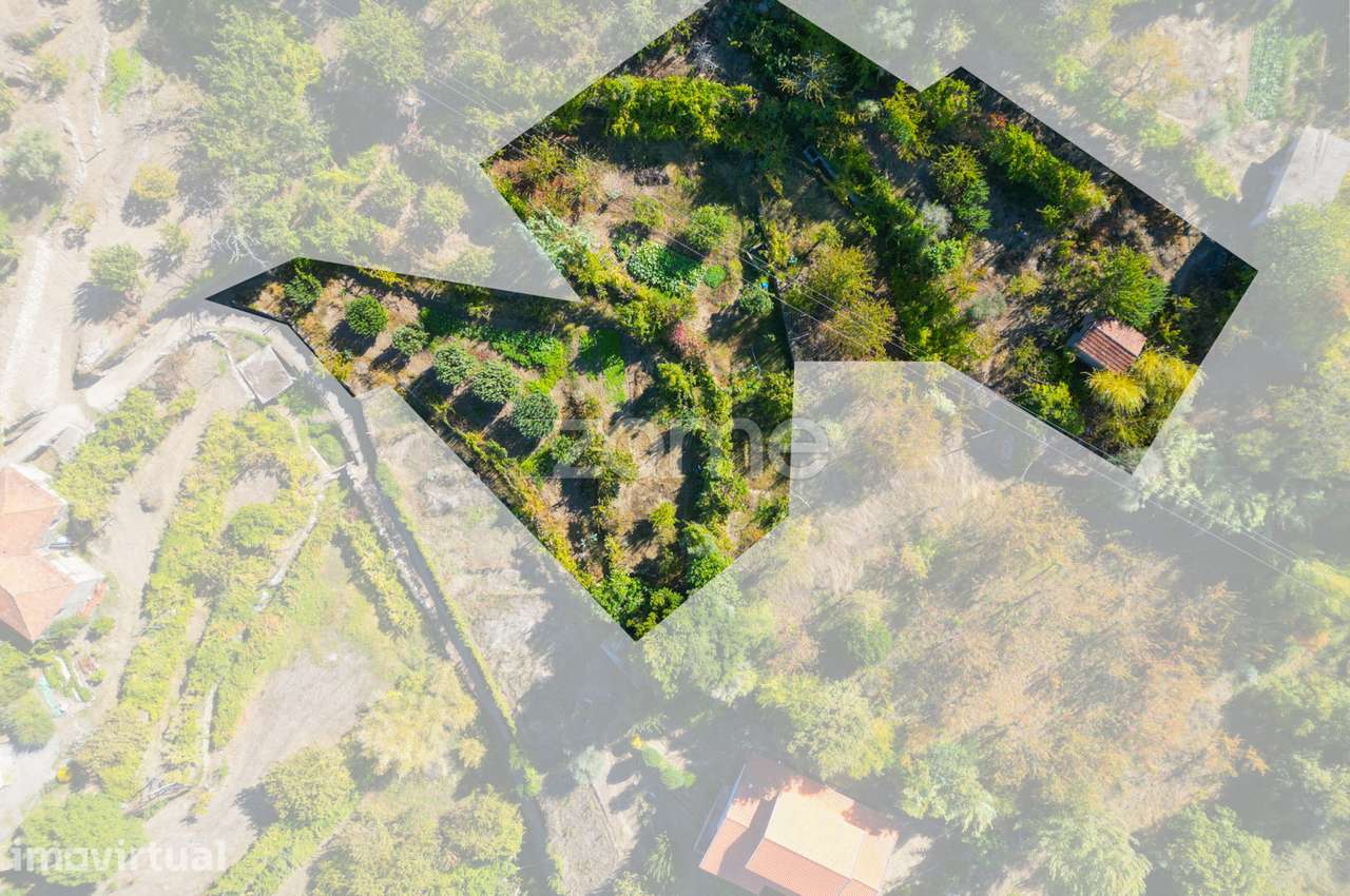 Terreno Rústico com Vistas Deslumbrantes para o Rio Douro - Grande imagem: 4/12