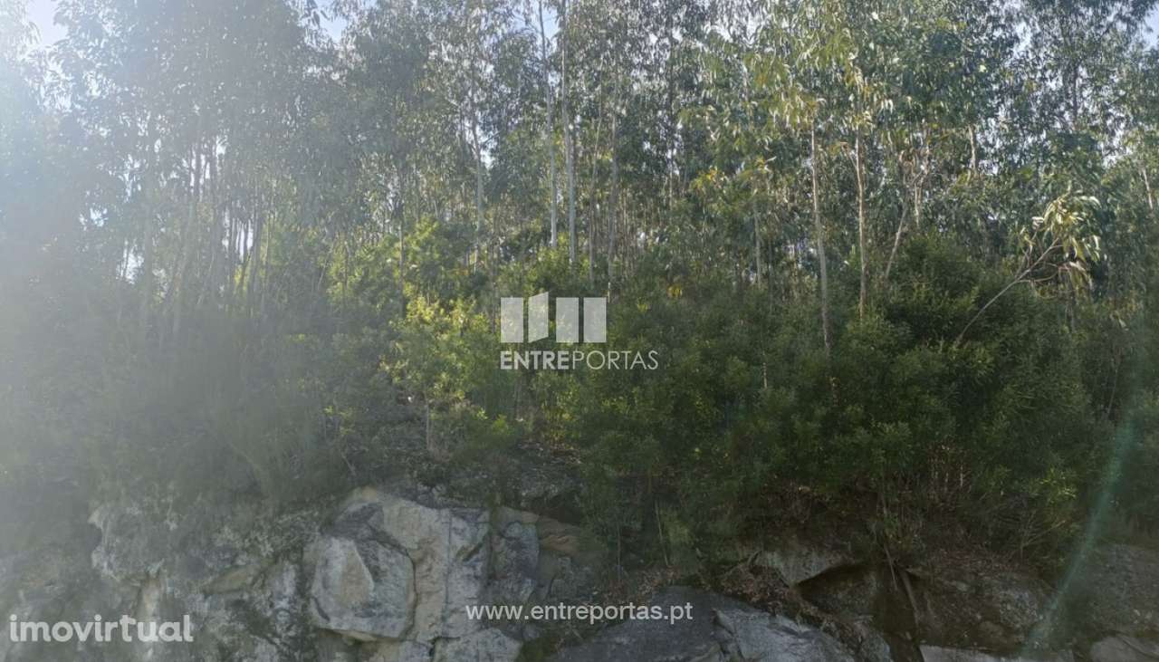 Venda Terreno  Vila Cova Penafiel - Grande imagem: 5/16