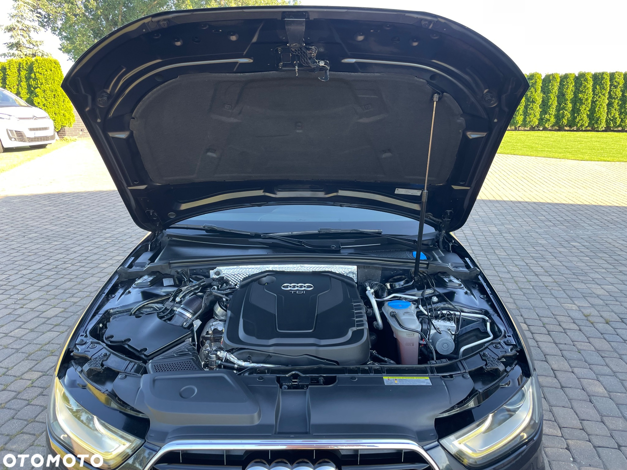 Audi A4 - 24