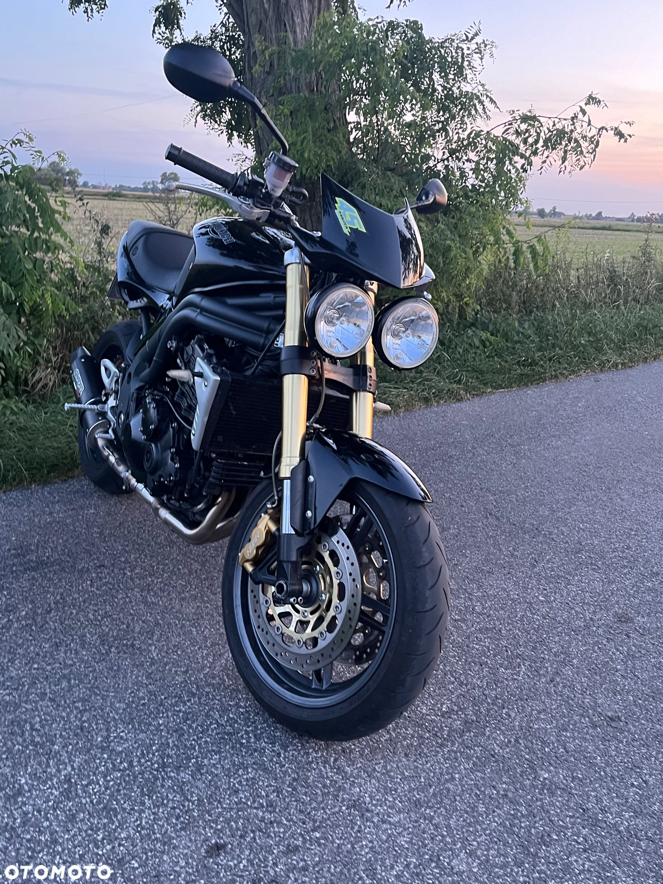 Triumph Speed Triple - 6