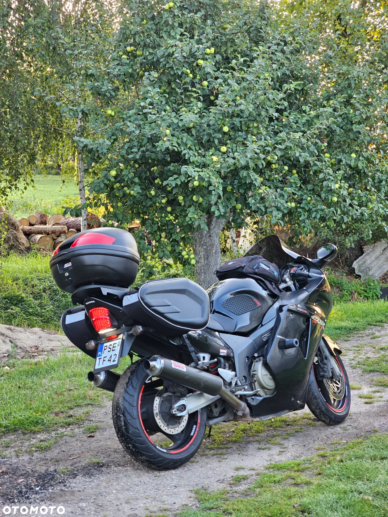 Honda CBR - 31