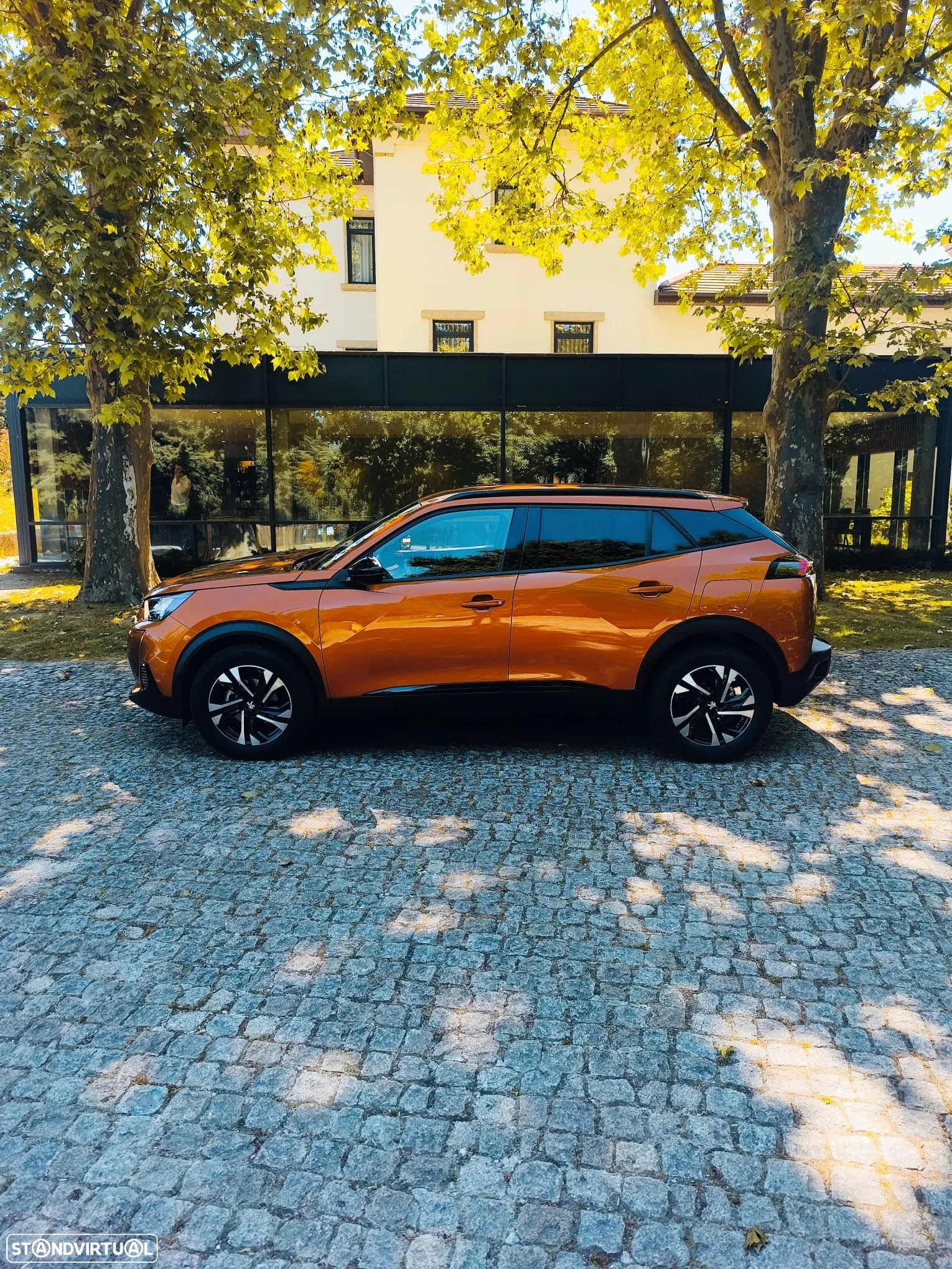 Peugeot 2008 - 3