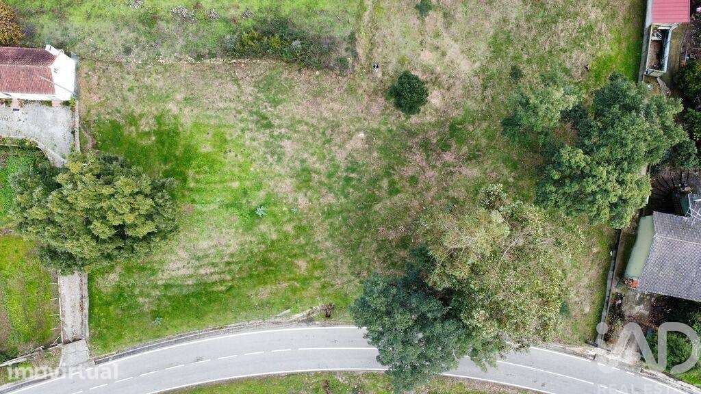 Terreno Agrícola em Figueiró dos Vinhos e Bairradas - Grande imagem: 4/13