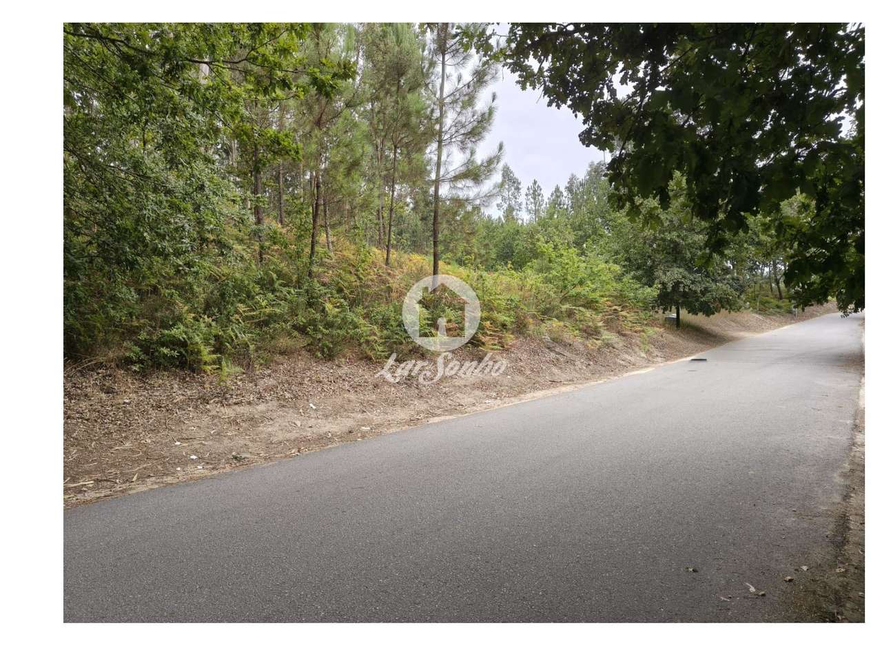 Terreno construção Regadas Fafe - Grande imagem: 2/4