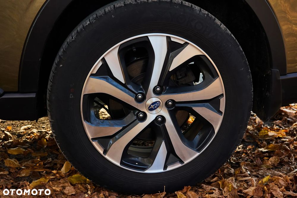 Subaru Outback - 19