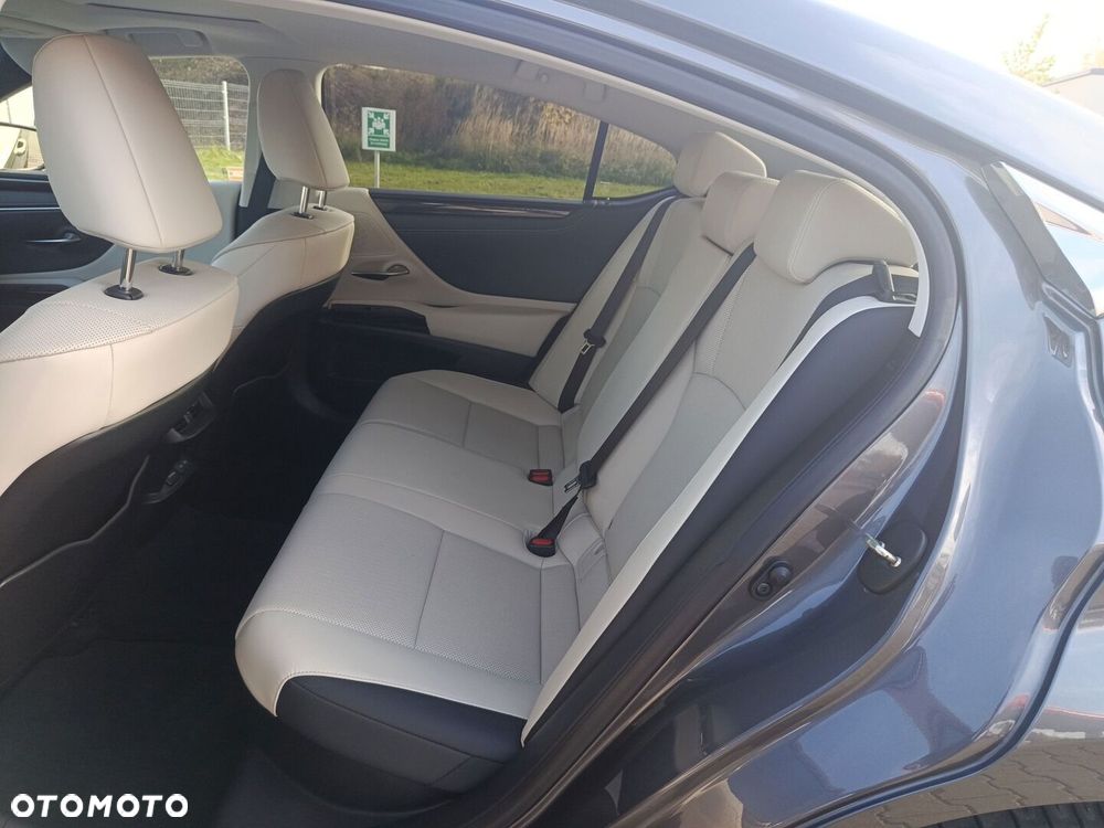Lexus ES 300h Business Edition - 14