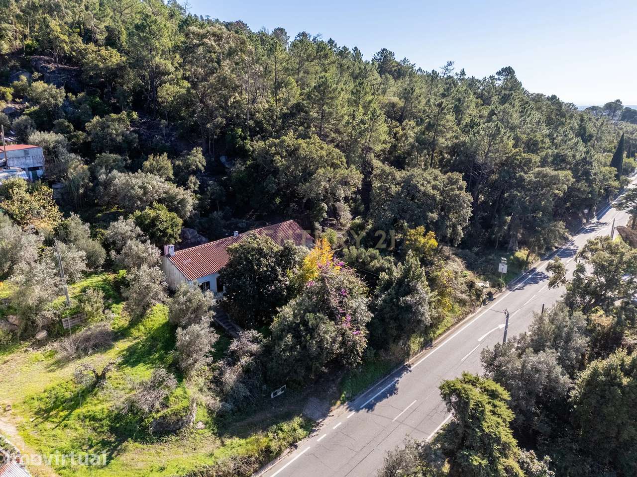 Moradia T3 na Serra de Monchique com Ambiente Rural e Privacidade Tota - Grande imagem: 3/40