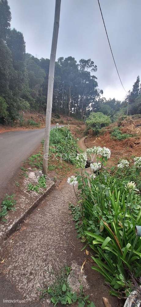 Terreno rústico com 450m² em Gaula, Santa Cruz, Madeira - Grande imagem: 5/9