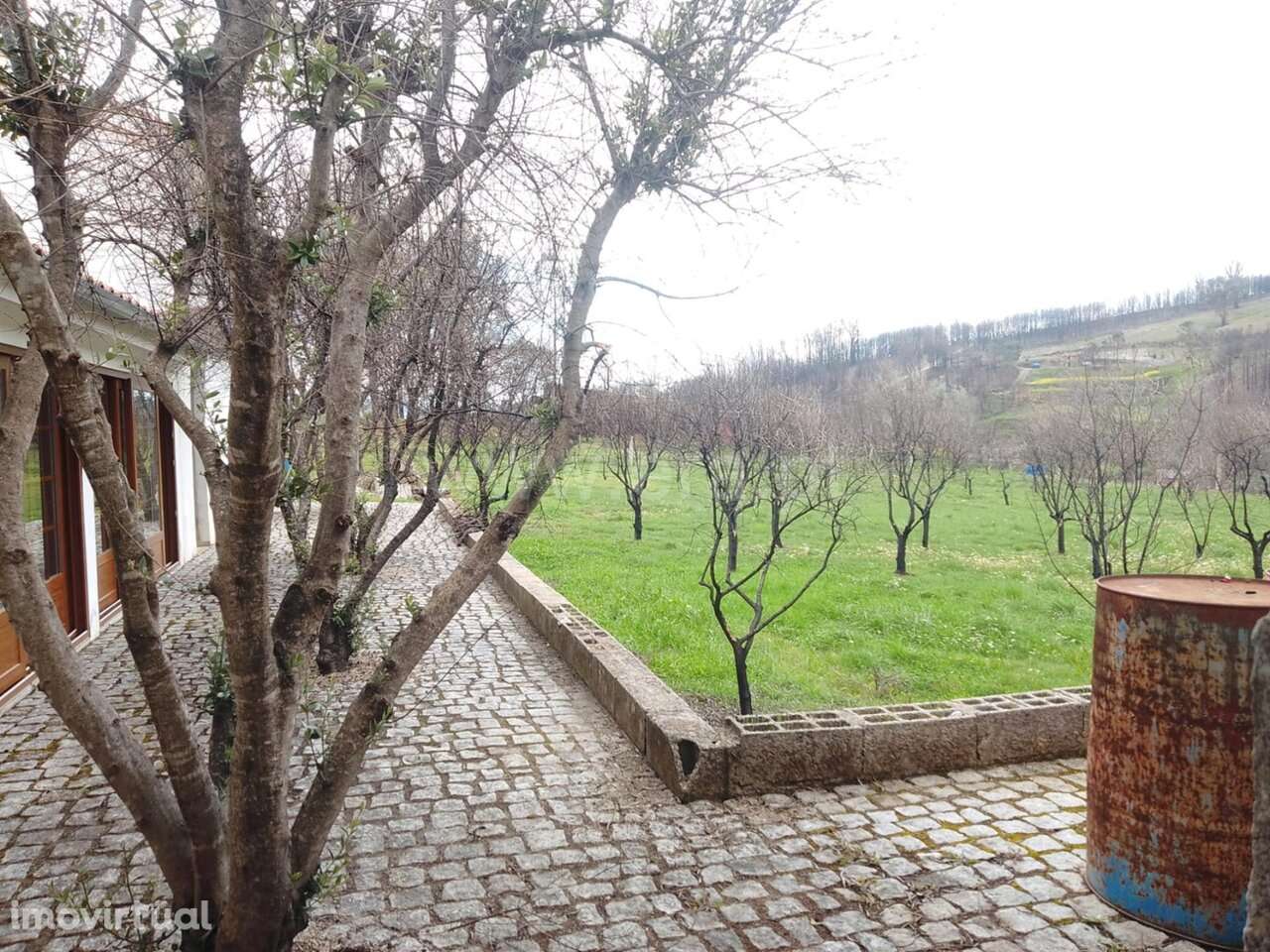 Quintinha T1 / Covilhã, Erada - Grande imagem: 5/16