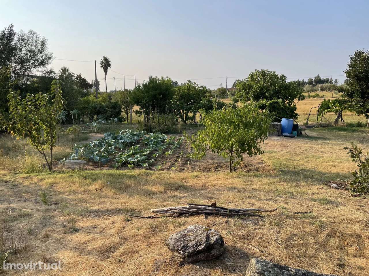 Terreno Agrícola para venda em Vila Verde, Seia - Grande imagem: 4/41