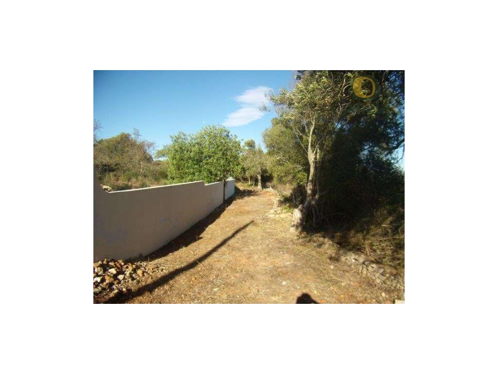 Terreno com projeto aprovado para construção de moradia térrea - Grande imagem: 3/9