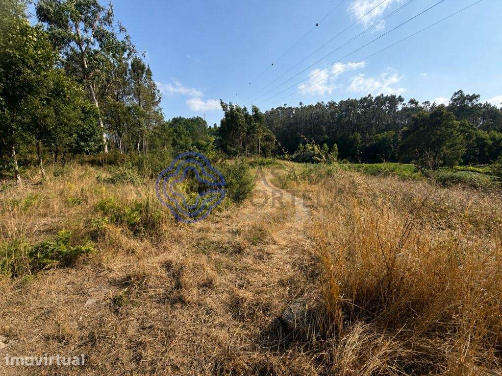 TERRENO COM 1100 M² | GANDRA – PAREDES - Grande imagem: 3/11