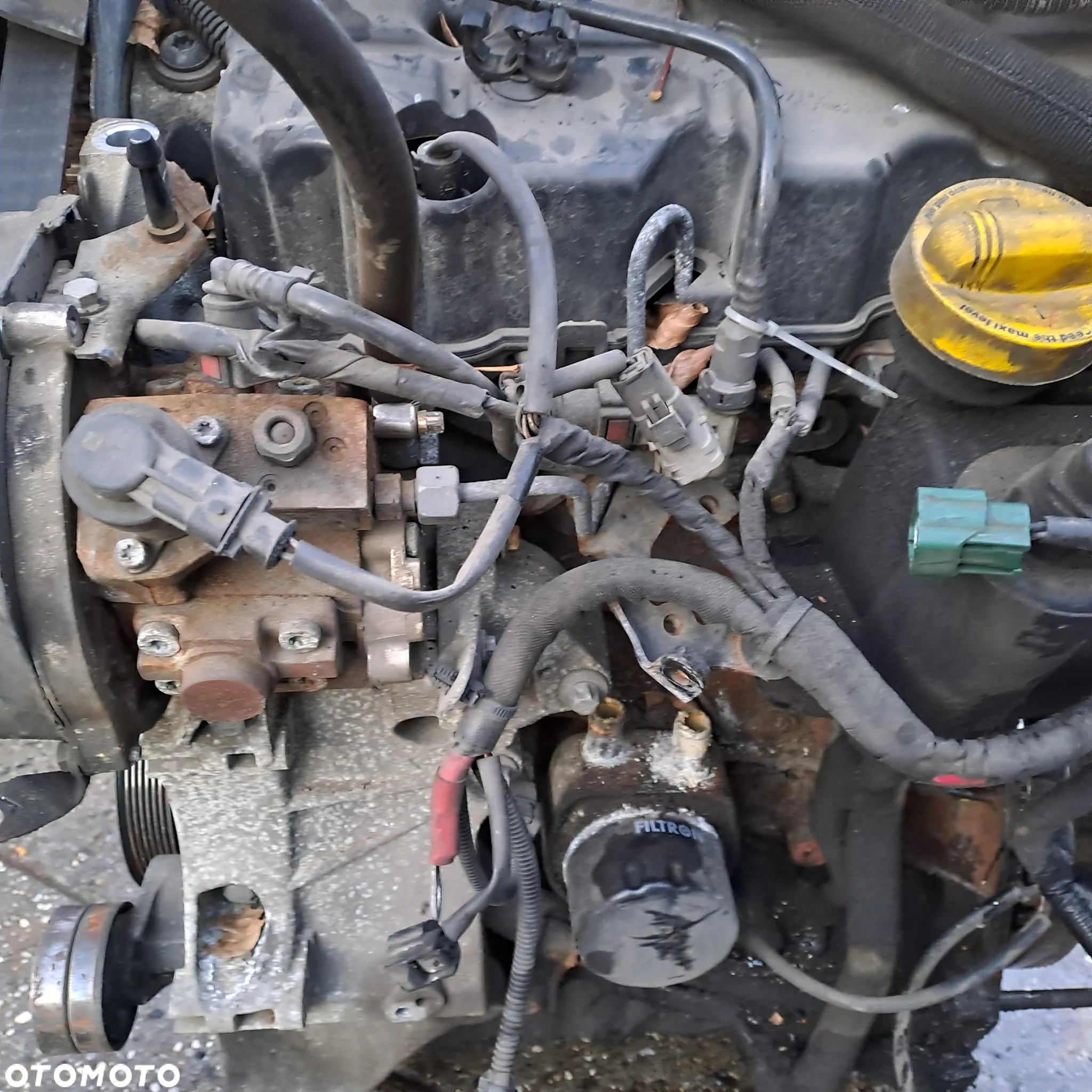 Renault Scenic III 1.9 DCi 131KM silnik kompletny kod F9Q872 F9Q870 niski przebieg - 8