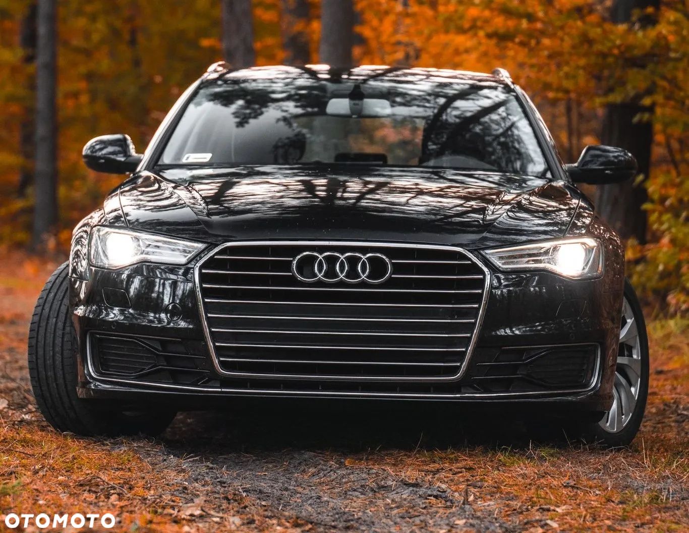Audi A6 - 1