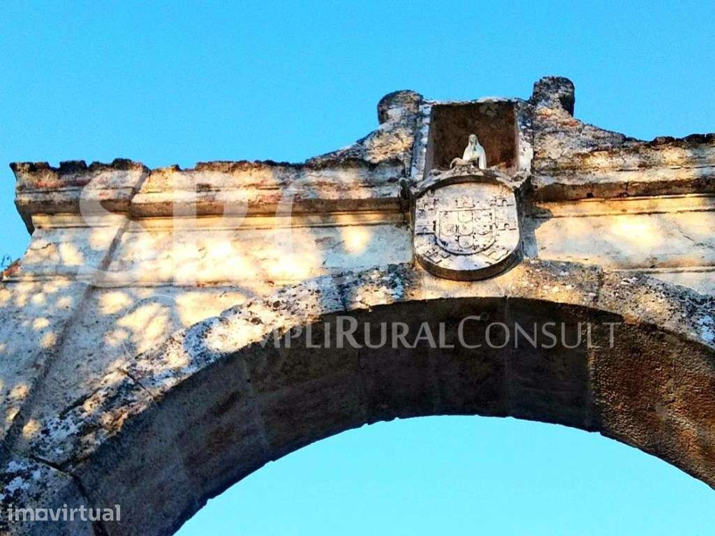 Herdade Histórica com 173 Hectares - Grande imagem: 3/60