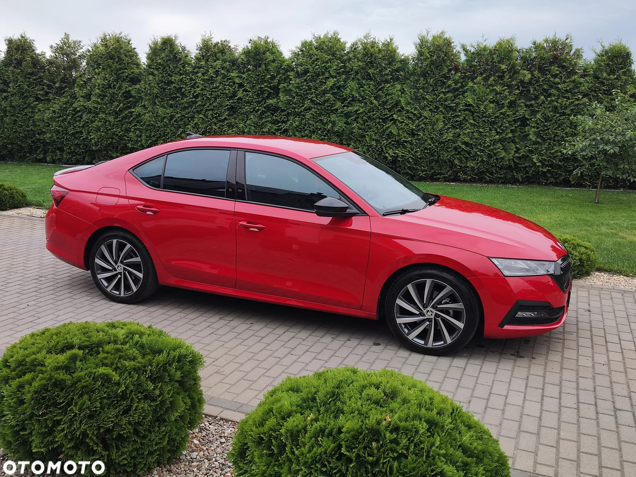 Skoda Octavia - 10