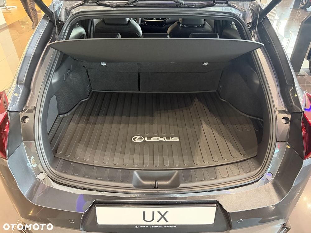 Lexus UX 300h F Sport Design - 6