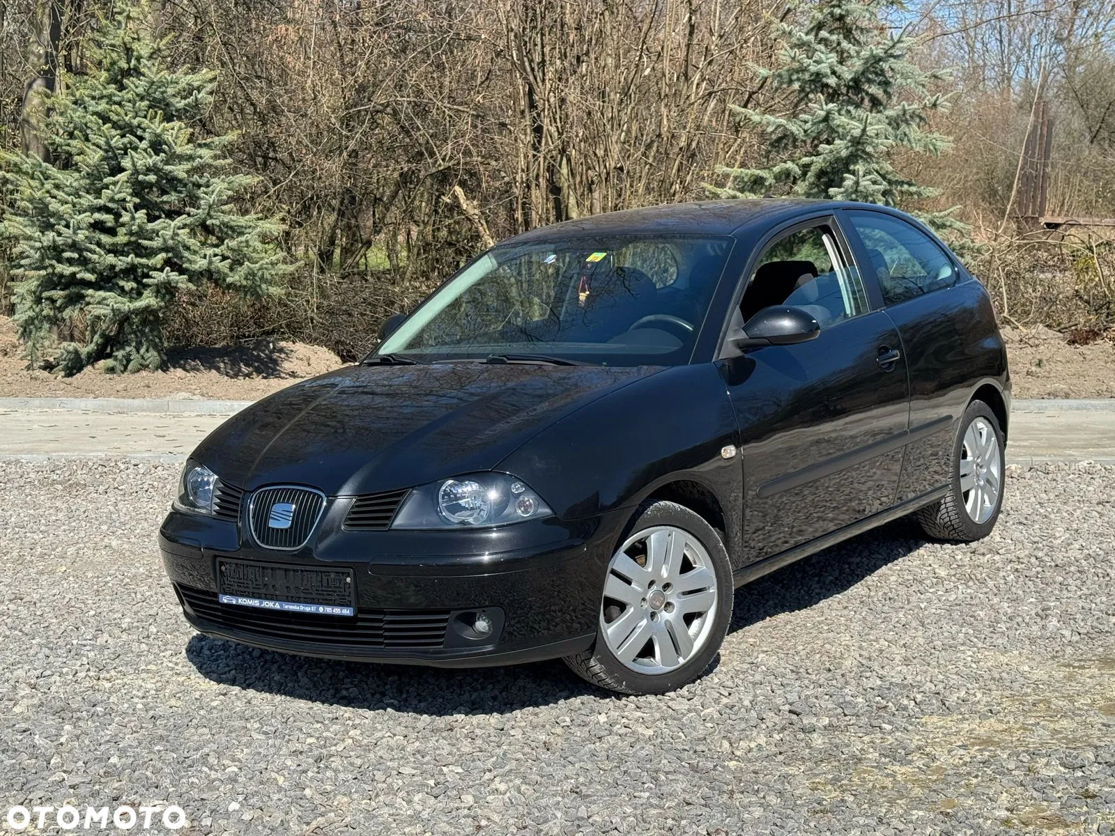 Seat Ibiza 1.9 TDI Comfort Edition - 12