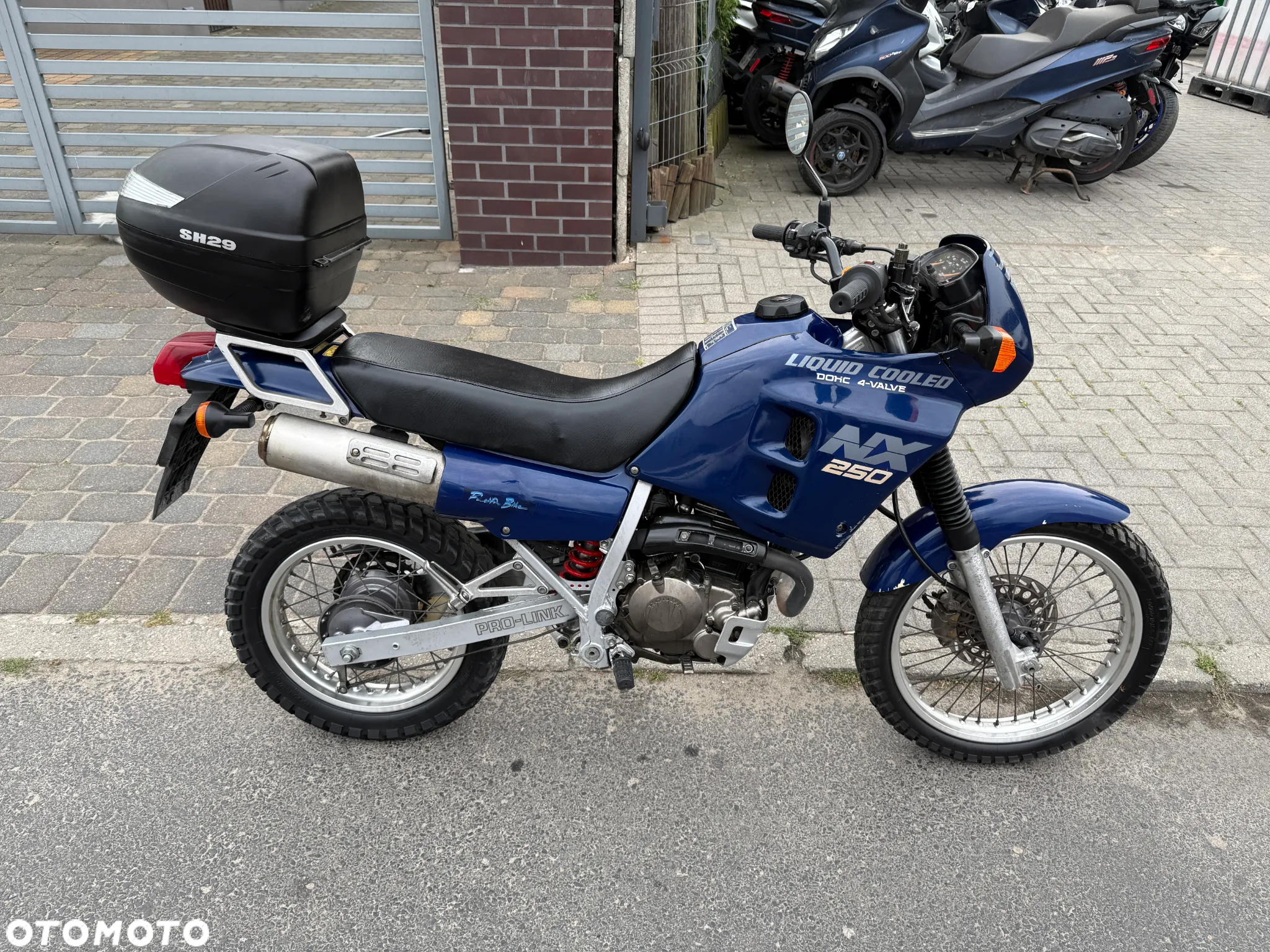Honda NX
