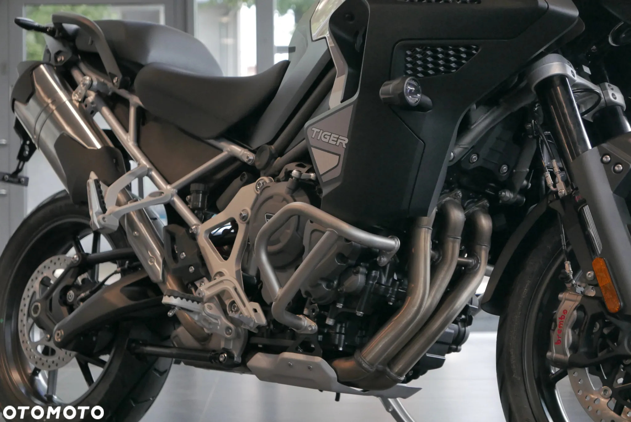 Triumph Tiger - 11