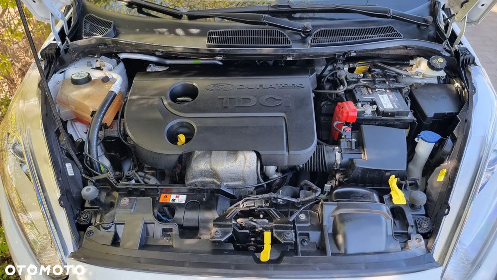 Ford Fiesta 1.5 TDCi Ambiente - 15