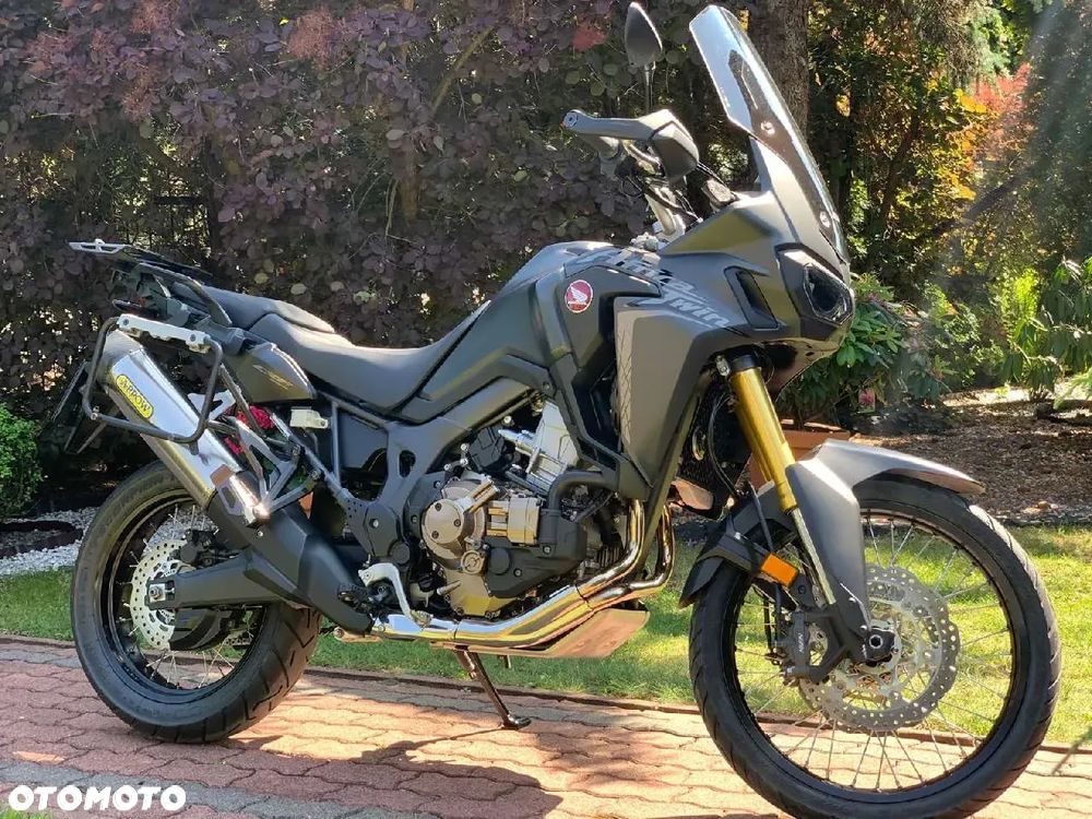 Honda CRF - 31