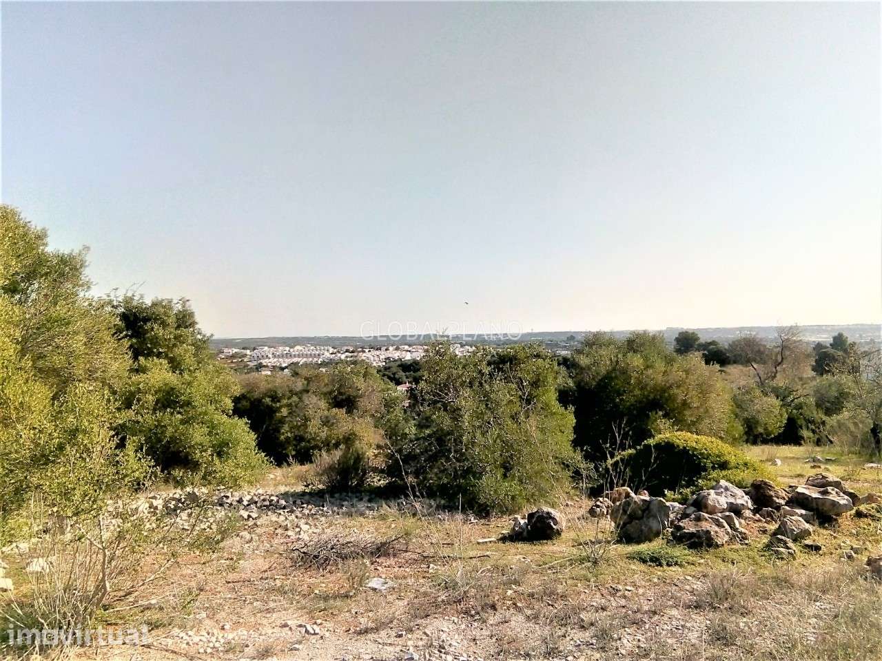 Terreno na Mexilhoeira Grande - Grande imagem: 5/20
