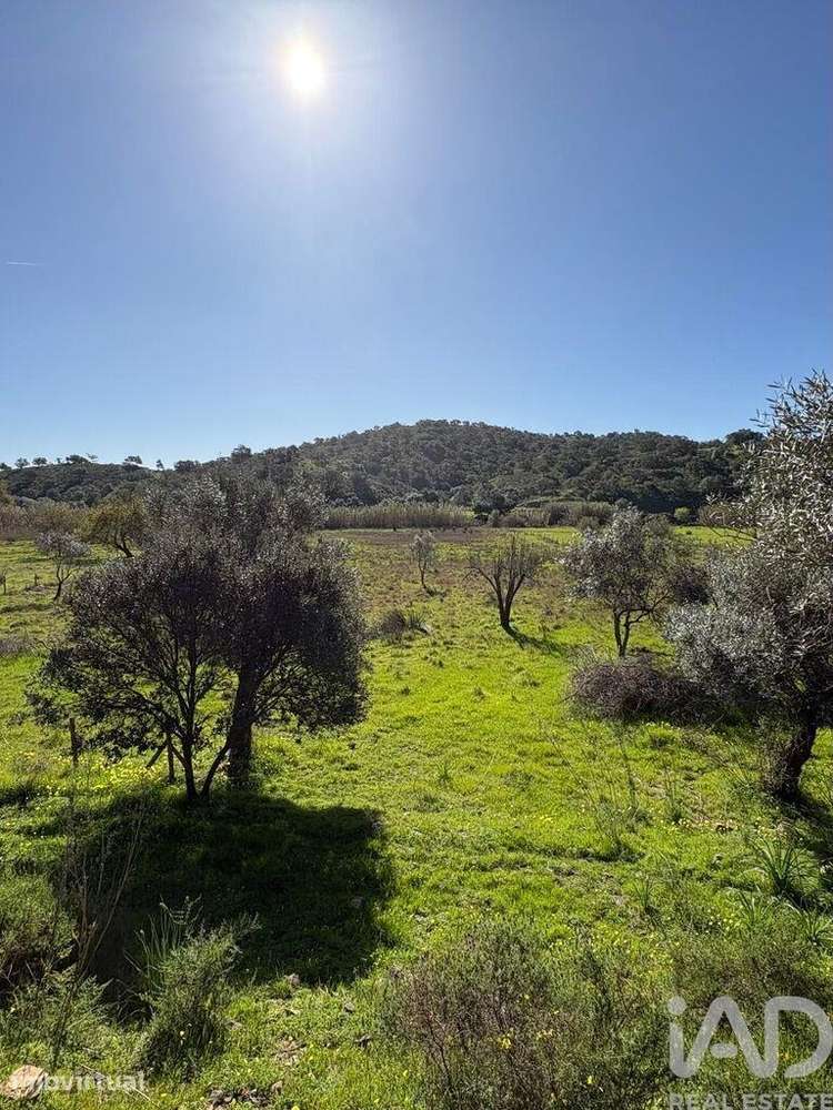 Terreno Agrícola em Odeleite - Grande imagem: 2/10