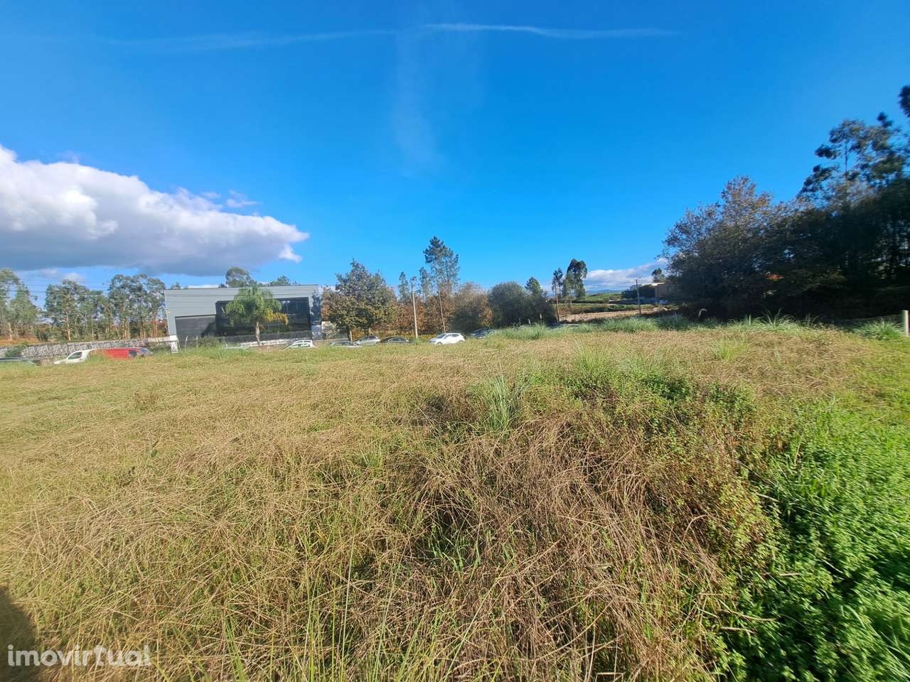 Terreno Industrial 9000m2 - Grande imagem: 4/7