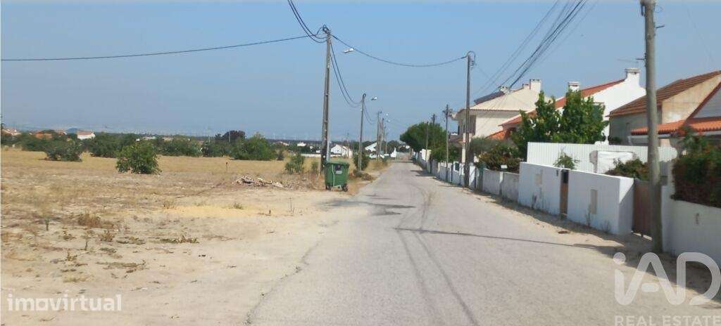 Terreno Agrícola em Montijo e Afonsoeiro - Grande imagem: 5/7
