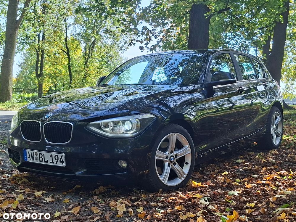 BMW Seria 1 120d xDrive BluePerformance Sport Line - 1