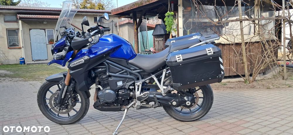 Triumph Tiger - 29