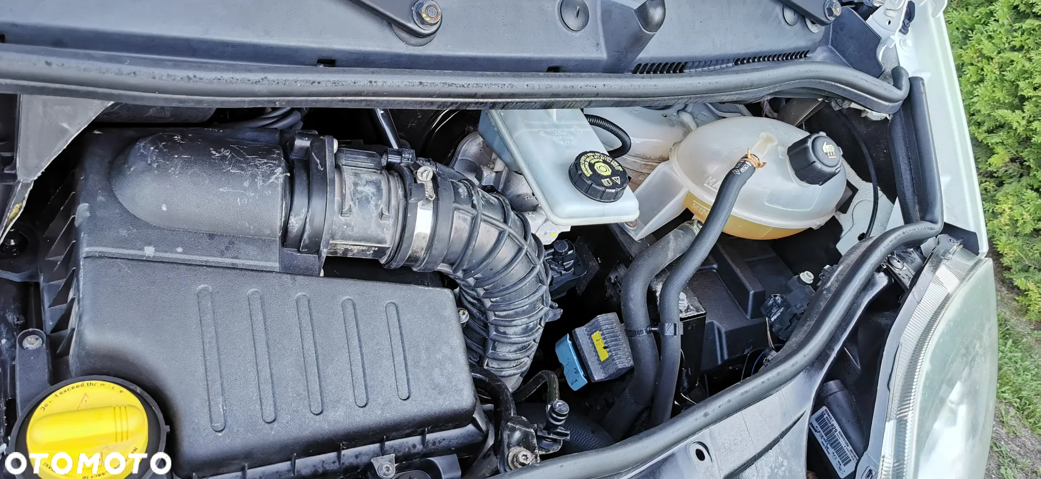 Renault Trafic - 13