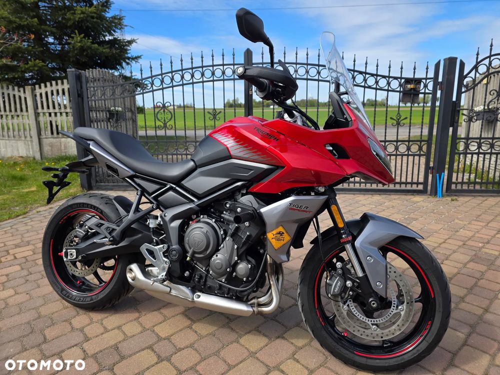 Triumph Tiger - 24