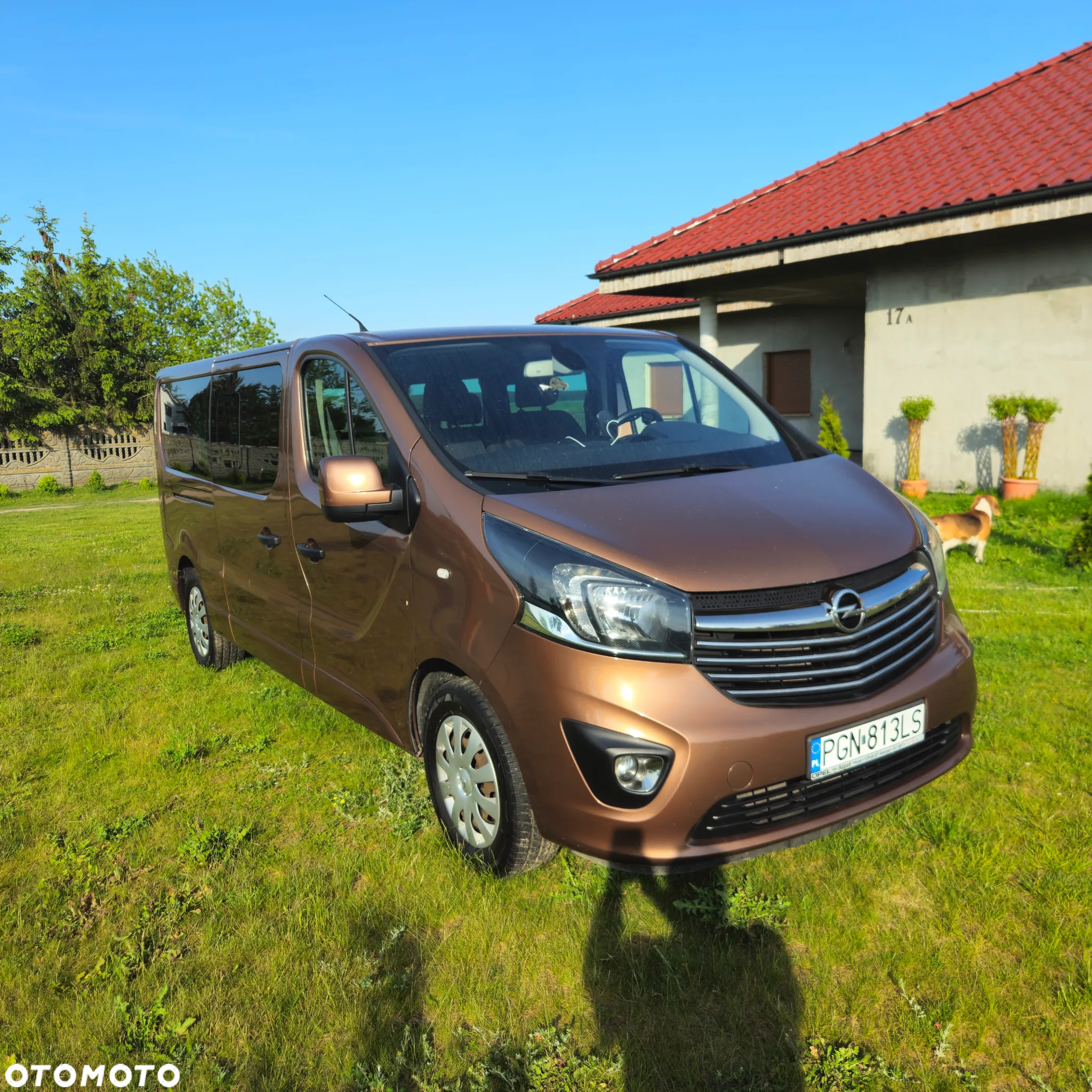 Opel Vivaro - 2