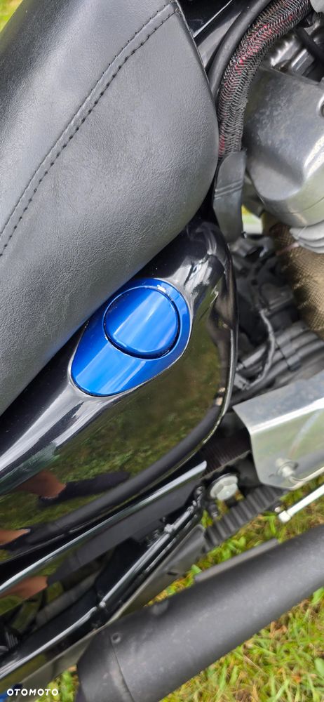 Harley-Davidson Sportster Custom 883C - 12