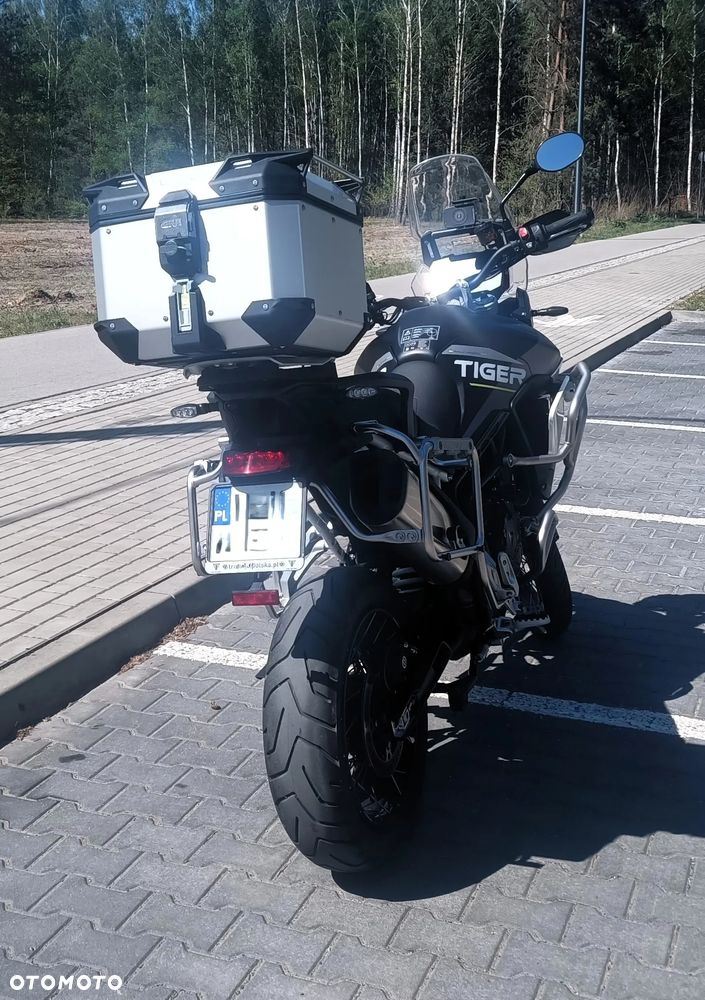 Triumph Tiger - 21