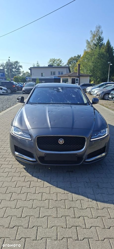 Jaguar XF 30d Prestige - 7