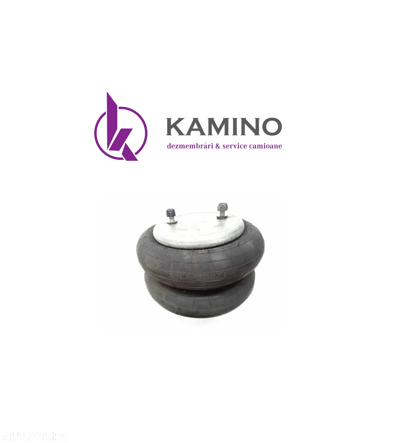 Perna aer suspensie spate Scania P, G, R, T. - 2