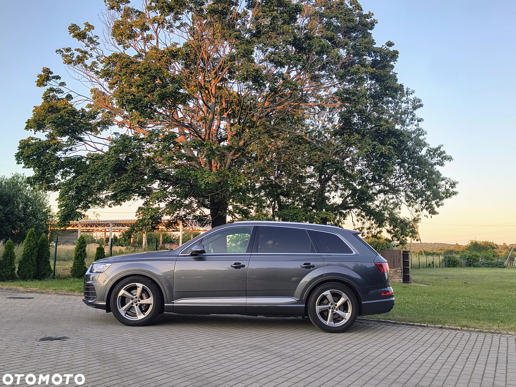 Audi Q7 3.0 TDI Quattro Tiptronic - 24