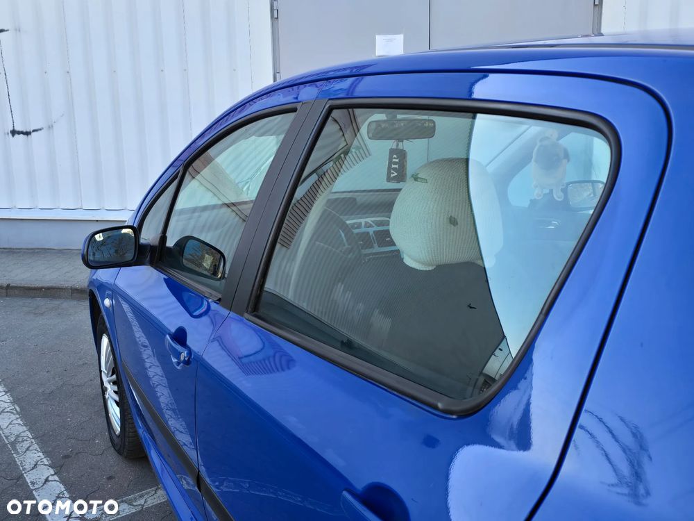 Peugeot 307 - 25