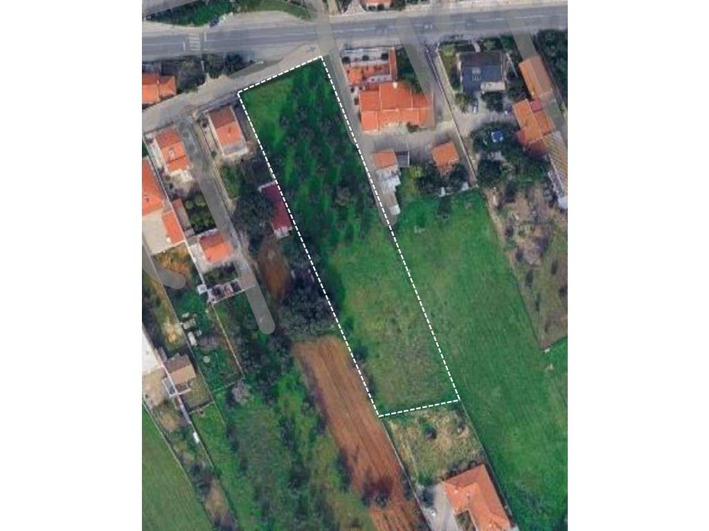 Terreno para Investimento com Viabilidade de Construção até 5 Moradias - Grande imagem: 4/4