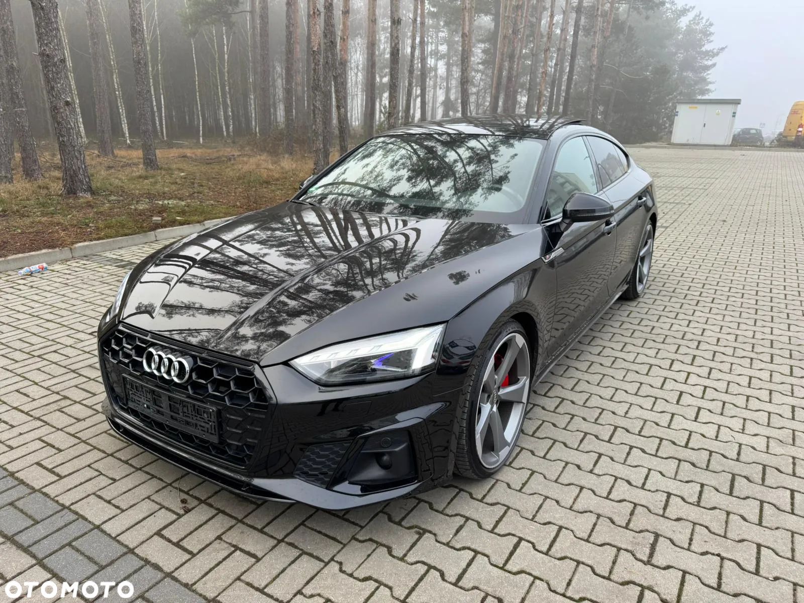 Audi A5 Sportback 3.0 TDI quattro S tronic sport - 1