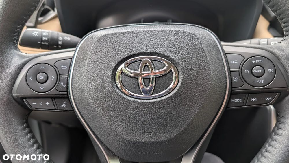 Toyota RAV4 2.5 Hybrid Executive 4x4 - 11