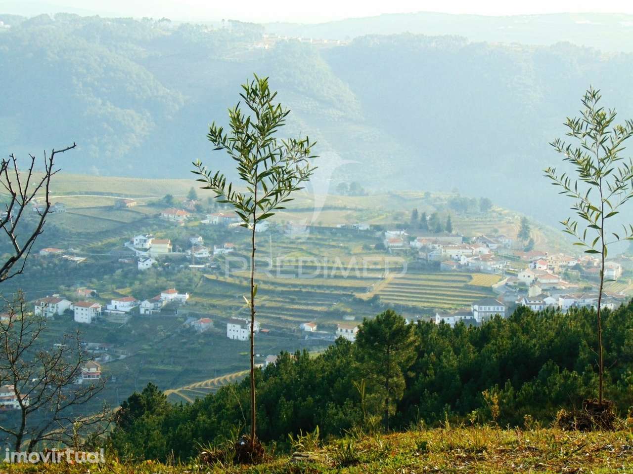 Terreno na Cumieira / Santa Marta de Penaguião - Grande imagem: 3/32